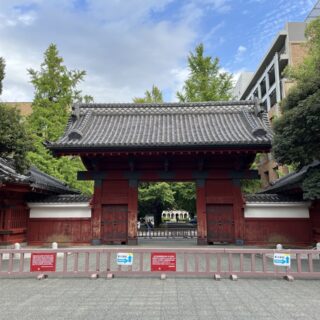 Processed version of Tokyo University I-Jio Tree Avenue in…